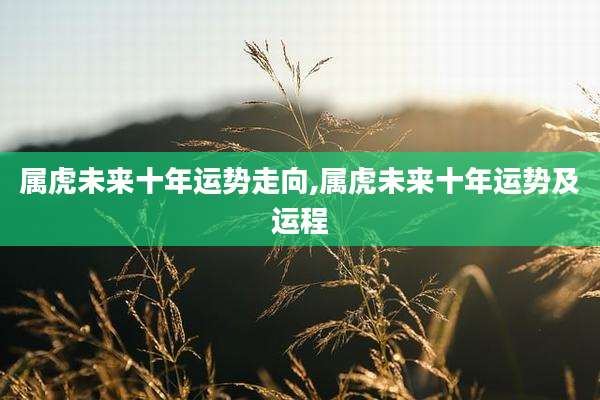 属虎未来十年运势走向,属虎未来十年运势及运程