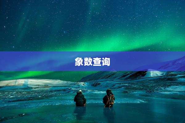 象数查询