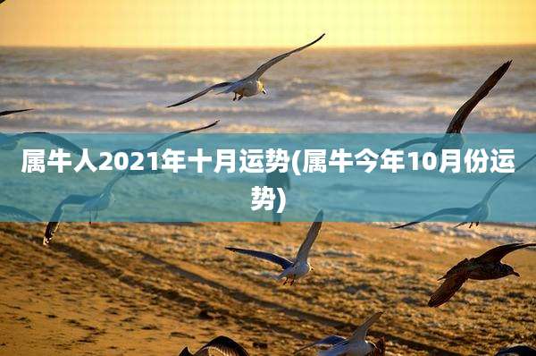 属牛人2021年十月运势(属牛今年10月份运势)