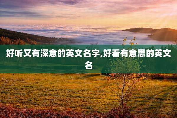 好听又有深意的英文名字,好看有意思的英文名