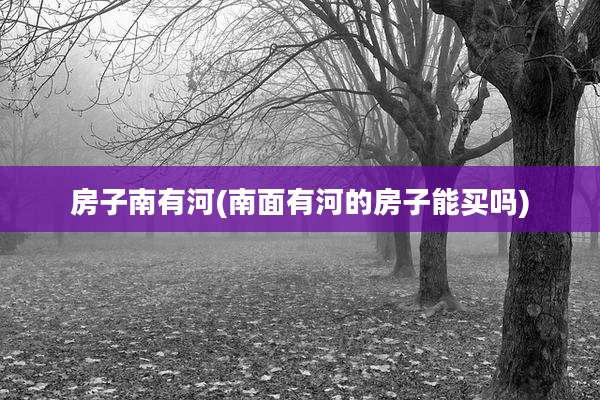 房子南有河(南面有河的房子能买吗)
