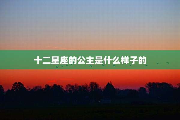 十二星座的公主是什么样子的