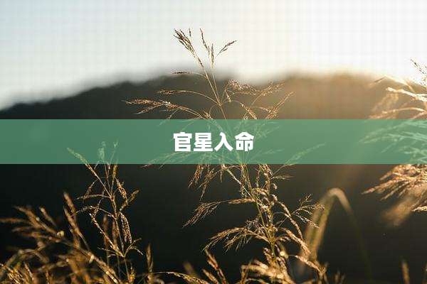 官星入命
