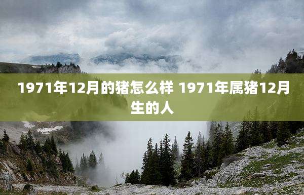 1971年12月的猪怎么样 1971年属猪12月生的人