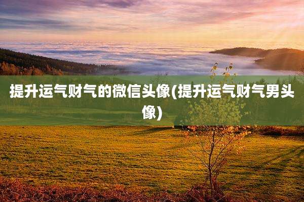 提升运气财气的微信头像(提升运气财气男头像)