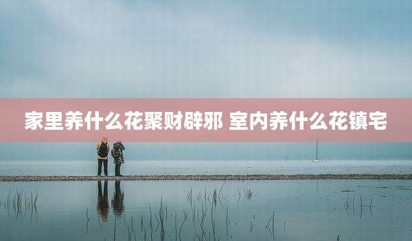 家里养什么花聚财辟邪 室内养什么花镇宅