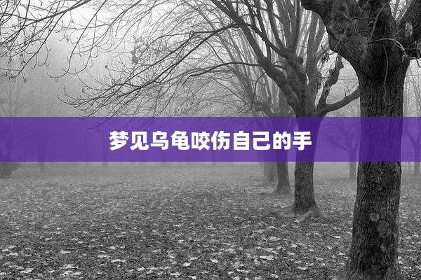 梦见乌龟咬伤自己的手