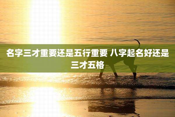 名字三才重要还是五行重要 八字起名好还是三才五格