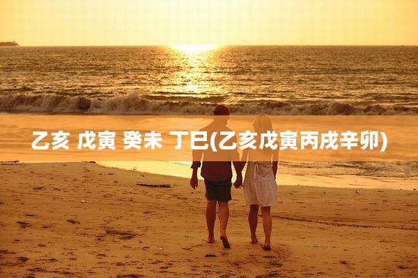 乙亥 戊寅 癸未 丁巳(乙亥戊寅丙戌辛卯)