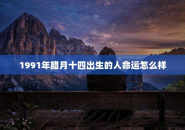 1991年腊月十四出生的人命运怎么样