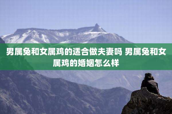 男属兔和女属鸡的适合做夫妻吗 男属兔和女属鸡的婚姻怎么样
