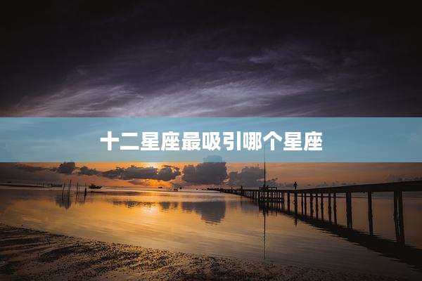 十二星座最吸引哪个星座