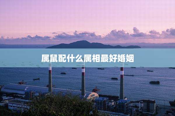 属鼠配什么属相最好婚姻