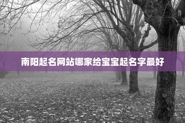 南阳起名网站哪家给宝宝起名字最好