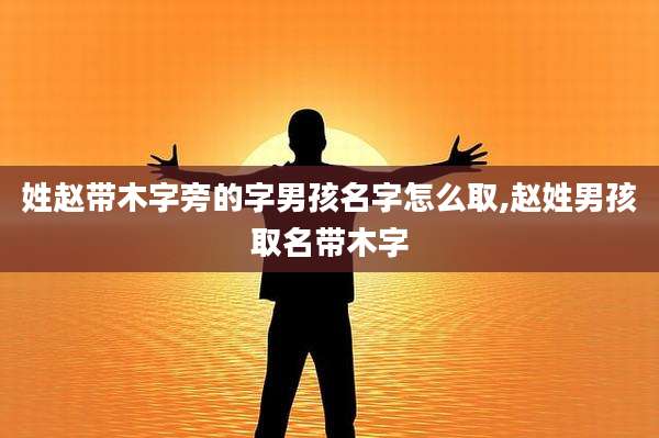 姓赵带木字旁的字男孩名字怎么取,赵姓男孩取名带木字