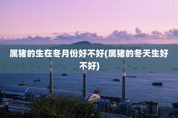 属猪的生在冬月份好不好(属猪的冬天生好不好)