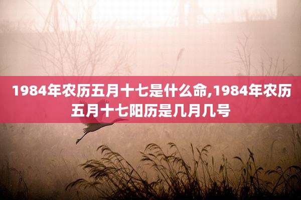 1984年农历五月十七是什么命,1984年农历五月十七阳历是几月几号