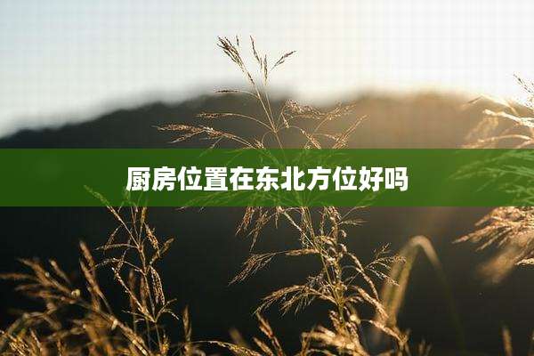 厨房位置在东北方位好吗