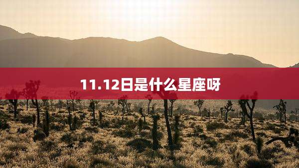 11.12日是什么星座呀
