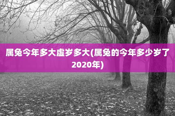 属兔今年多大虚岁多大(属兔的今年多少岁了2020年)