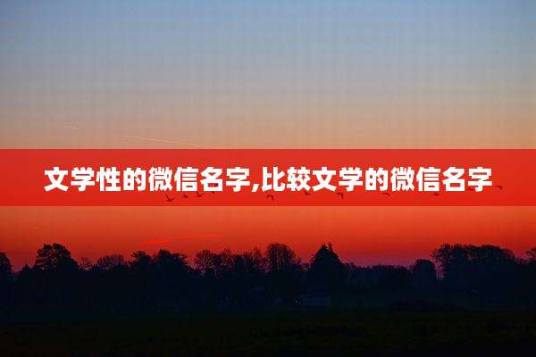 文学性的微信名字,比较文学的微信名字