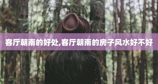 客厅朝南的好处,客厅朝南的房子风水好不好