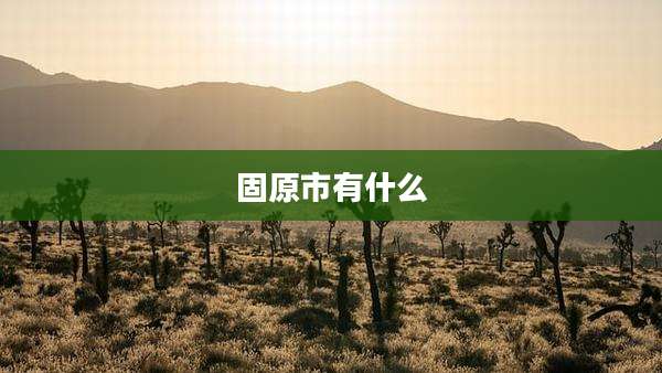 固原市有什么
