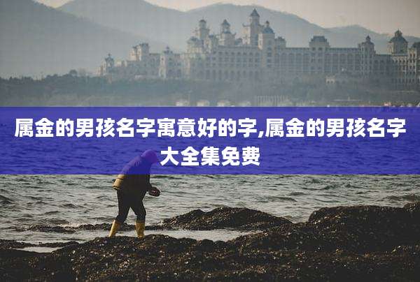 属金的男孩名字寓意好的字,属金的男孩名字大全集免费