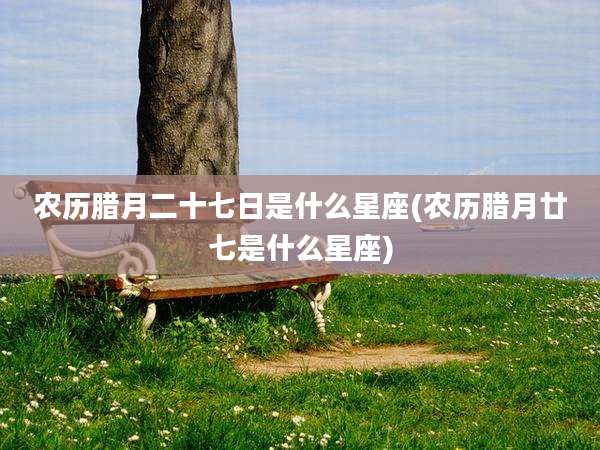 农历腊月二十七日是什么星座(农历腊月廿七是什么星座)