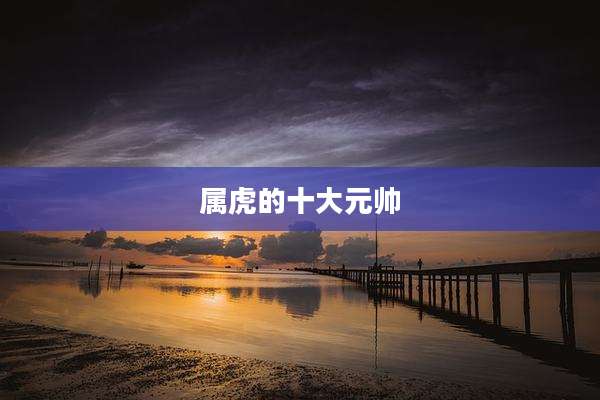 属虎的十大元帅