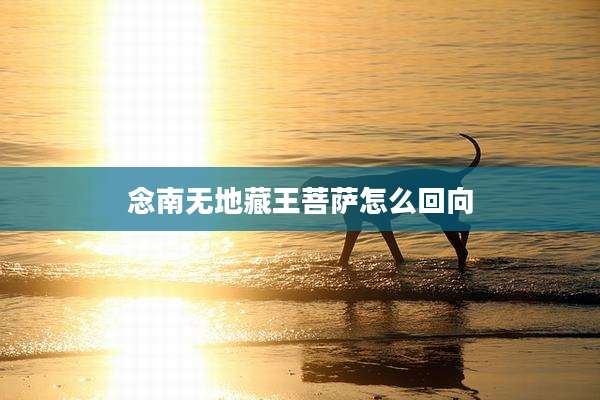 念南无地藏王菩萨怎么回向