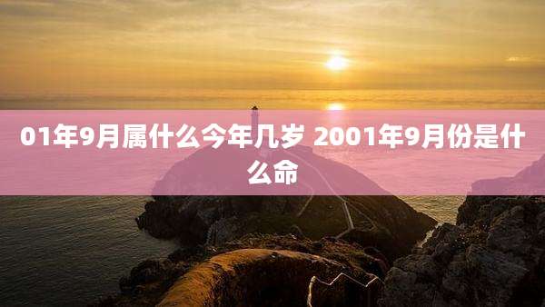 01年9月属什么今年几岁 2001年9月份是什么命