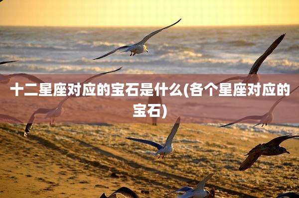 十二星座对应的宝石是什么(各个星座对应的宝石)