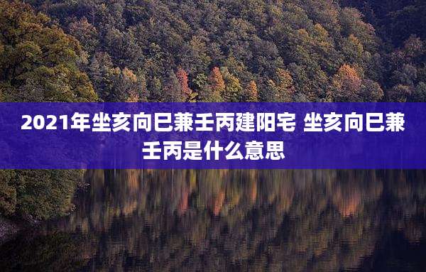 2021年坐亥向巳兼壬丙建阳宅 坐亥向巳兼壬丙是什么意思