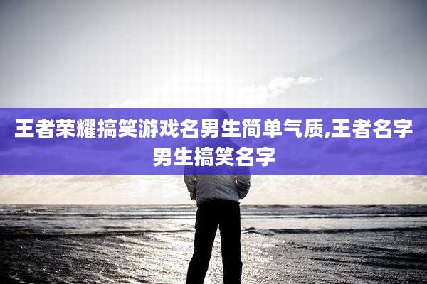 王者荣耀搞笑游戏名男生简单气质,王者名字男生搞笑名字