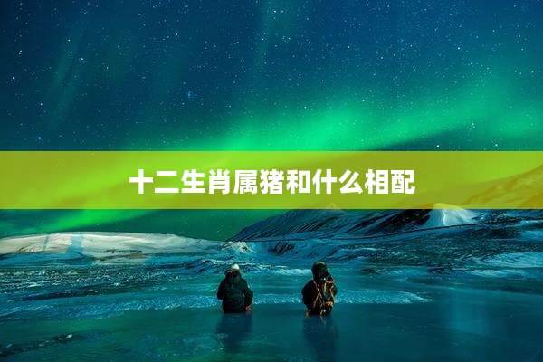 十二生肖属猪和什么相配