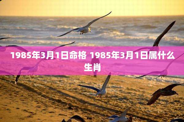 1985年3月1日命格 1985年3月1日属什么生肖
