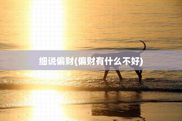 细说偏财(偏财有什么不好)