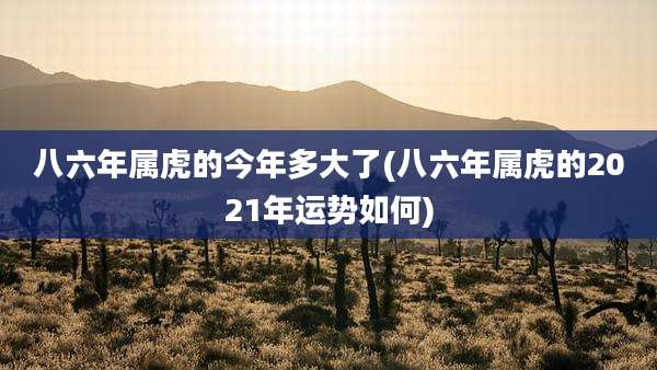 八六年属虎的今年多大了(八六年属虎的2021年运势如何)
