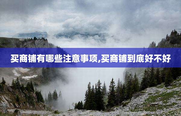 买商铺有哪些注意事项,买商铺到底好不好