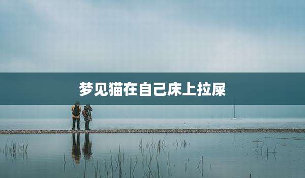 梦见猫在自己床上拉屎