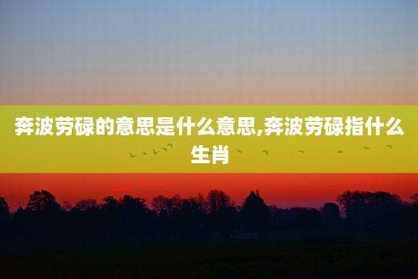奔波劳碌的意思是什么意思,奔波劳碌指什么生肖