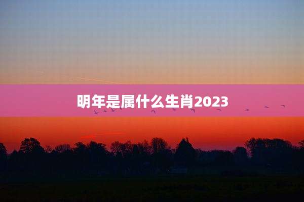明年是属什么生肖2023