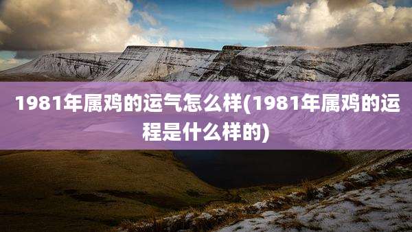 1981年属鸡的运气怎么样(1981年属鸡的运程是什么样的)
