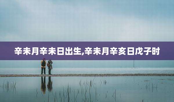 辛未月辛未日出生,辛未月辛亥日戊子时