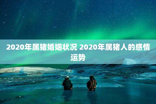 2020年属猪婚姻状况 2020年属猪人的感情运势