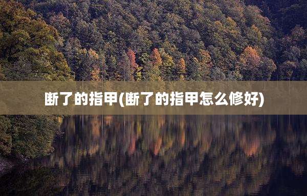 断了的指甲(断了的指甲怎么修好)