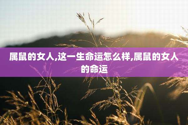 属鼠的女人,这一生命运怎么样,属鼠的女人的命运