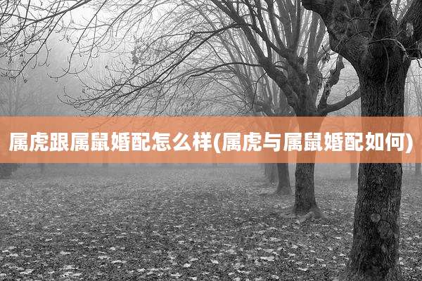 属虎跟属鼠婚配怎么样(属虎与属鼠婚配如何)