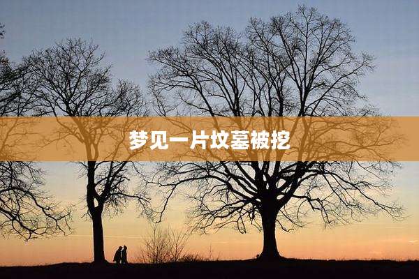 梦见一片坟墓被挖
